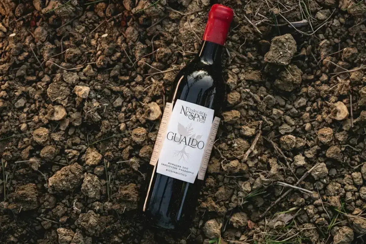Il Sangiovese biosimbiotico che resiste alla siccità: il modello di Poderi dal Nespoli