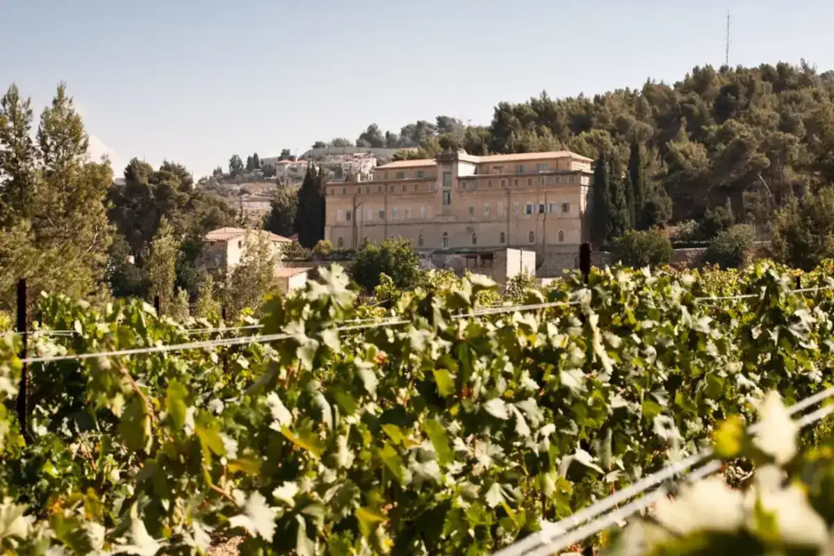 C'è un vino che nasce a Betlemme e oggi prova a costruire ponti tra le persone